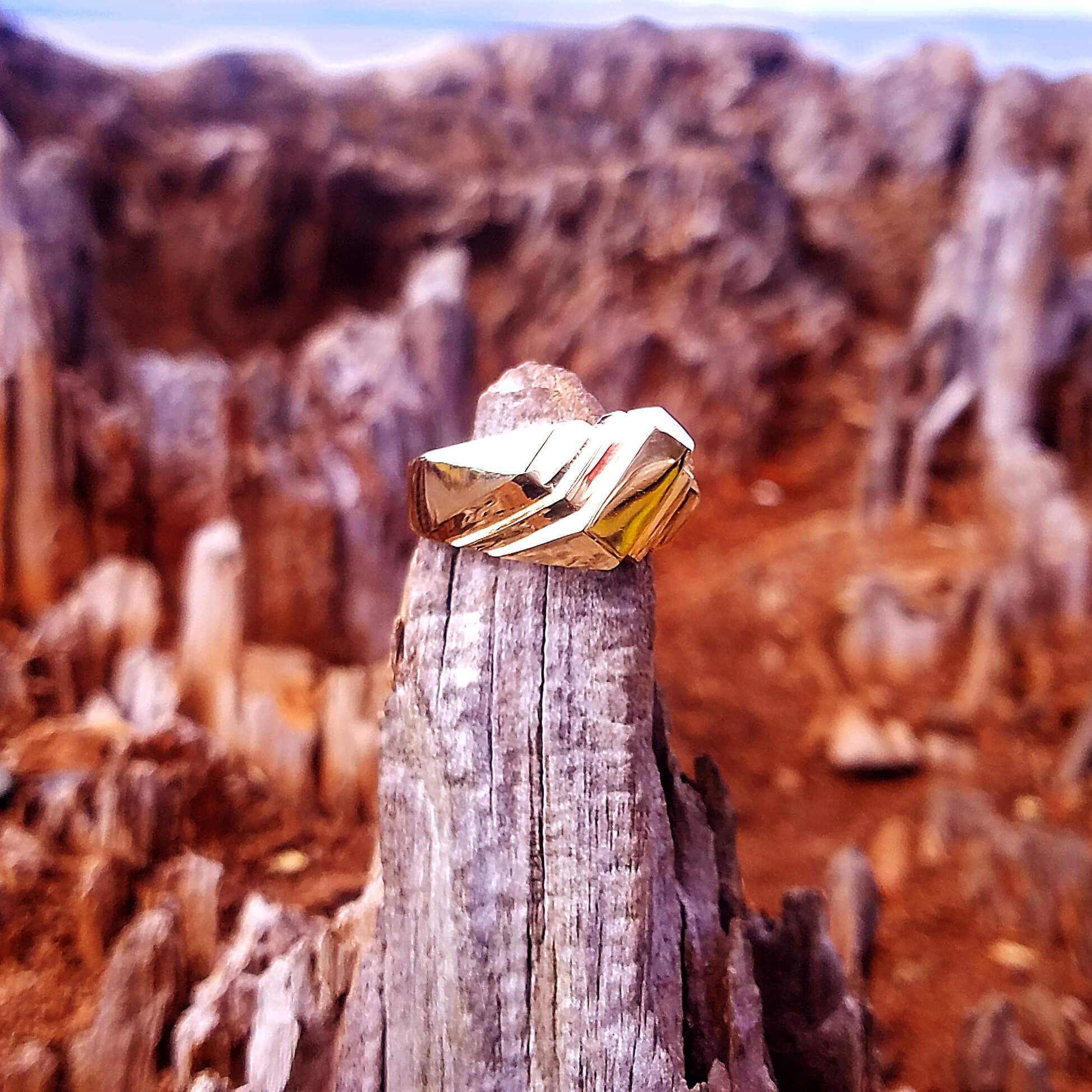 Abstract 14K Ring - Dynasty Collect